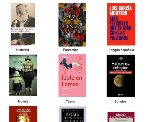 NOVEDADES ADULTOS FEBRERO 2024