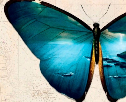 La biblioteca recomienda en abril... "El secreto del Albatros Negro", de María Oruña